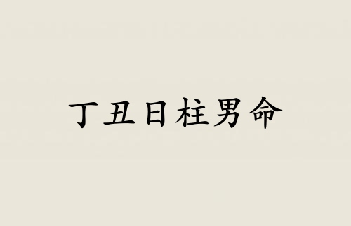 丁丑日柱男命運詳解