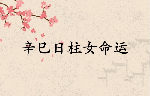 辛巳日柱女命運(yùn)分析