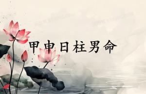 甲申日柱男命運詳解