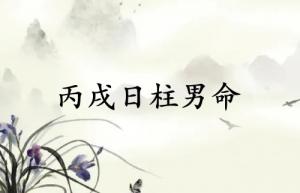 丙戌日柱男命運詳解