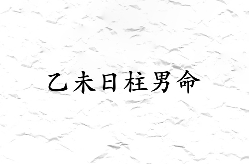 乙未日柱男命運詳解