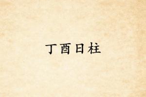 丁酉日柱三命通會精論