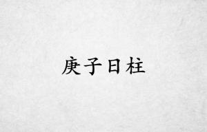 庚子日柱三命通會精論詳解大全
