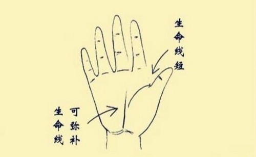 生命線怎么看壽命長(zhǎng)短