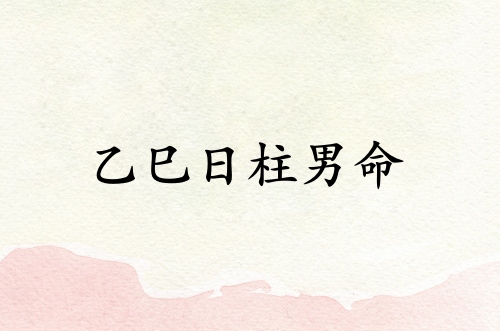 乙巳日柱男命運詳解