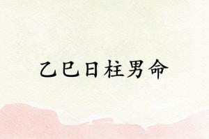 乙巳日柱男命運(yùn)詳解