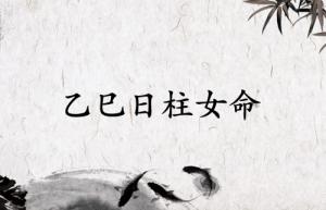 乙巳日柱女命運(yùn)解析