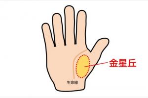 金星丘飽滿(mǎn)是什么意思