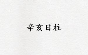 辛亥日柱三命通會精論解析