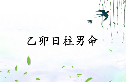 乙卯日柱男命運(yùn)詳解