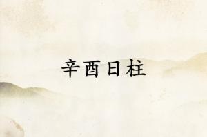辛酉日柱三命通會(huì)精論解析
