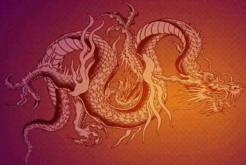 屬龍的女人性格和脾氣及愛(ài)情