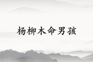楊柳木命男孩命運如何