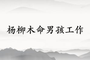 楊柳木命男孩適合什么工作