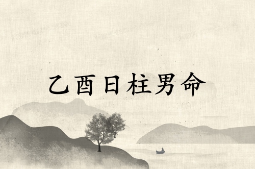 乙酉日柱男命2025年運勢