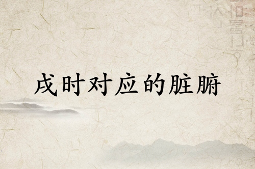 戌時對應什么臟腑