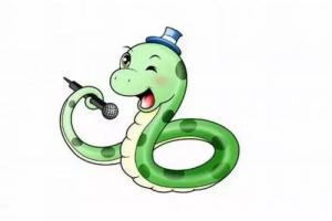 屬蛇的和什么屬相最合得來(lái)