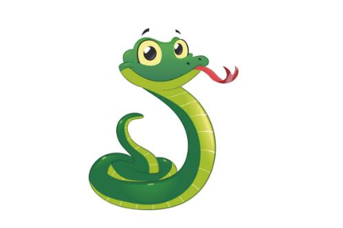 屬蛇人一生發(fā)財?shù)哪挲g