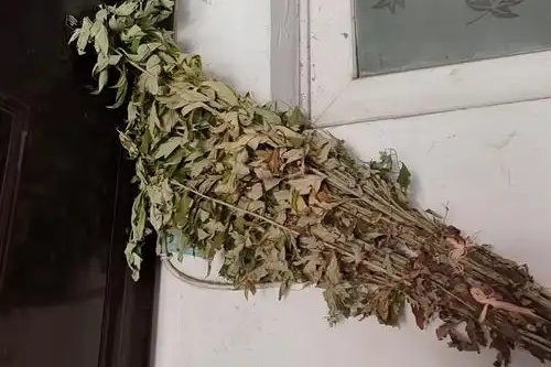 干艾草掛門(mén)上最忌諱三個(gè)原因